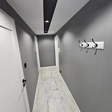 Z Jacuzzi Klimatyzacja Prywatny Parking アパート