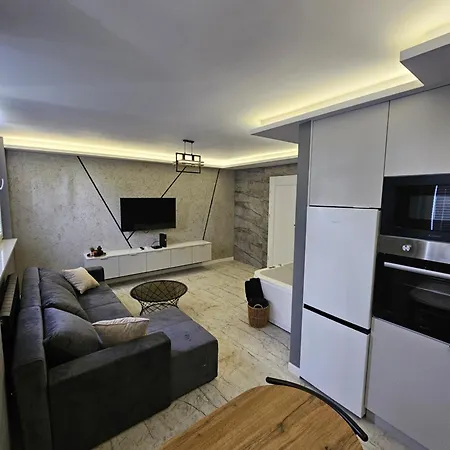 Z Jacuzzi Klimatyzacja Prywatny Parking Lejlighed